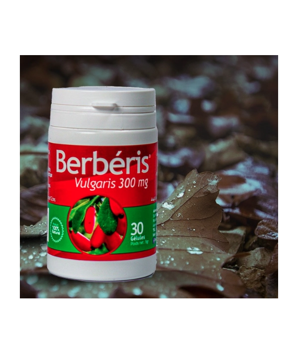 PHYTO D'ART BERBERIS VULGARIS 30 Gelules