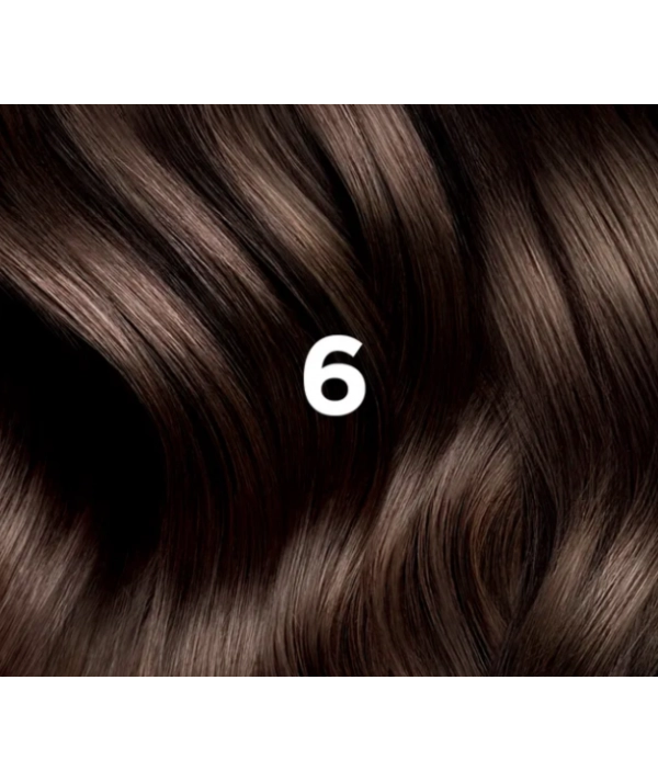 PHYTOCOLOR 6 BLOND FONCÉ