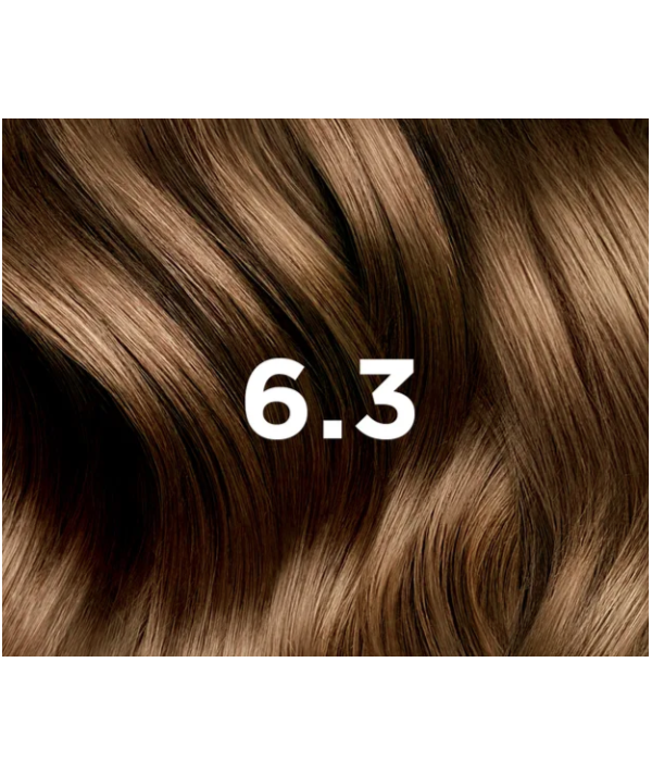 PHYTOCOLOR 6.3 BLOND FONCÉ DORÉ