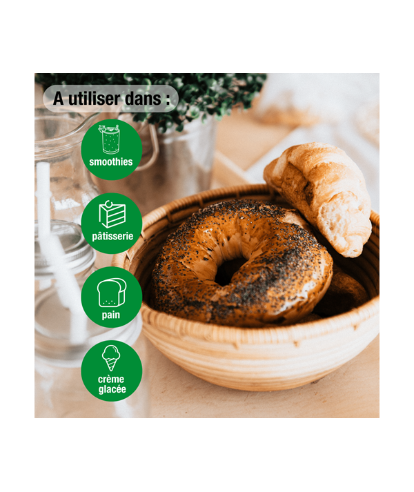 purasana Poudre de Psyllium