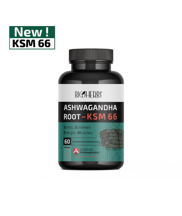 ASHWAGANDHA KSM 66 B60