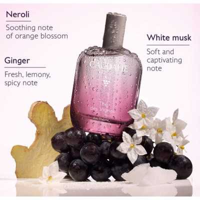 Caudalie Eau Fraîche Thé des Vignes-50ml Caudalie Eau Fraîche Thé des Vignes-50ml
