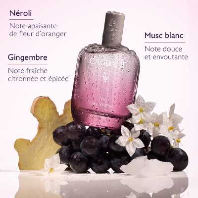 Caudalie Eau Fraîche Thé des Vignes-50ml Caudalie Eau Fraîche Thé des Vignes-50ml